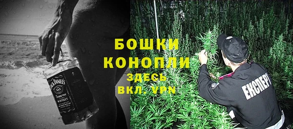 ПСИЛОЦИБИНОВЫЕ ГРИБЫ Новозыбков