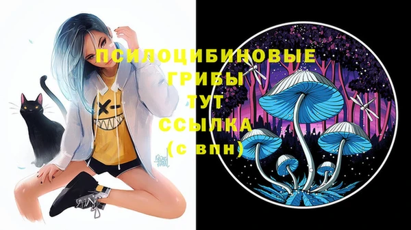 бутират Дмитриев