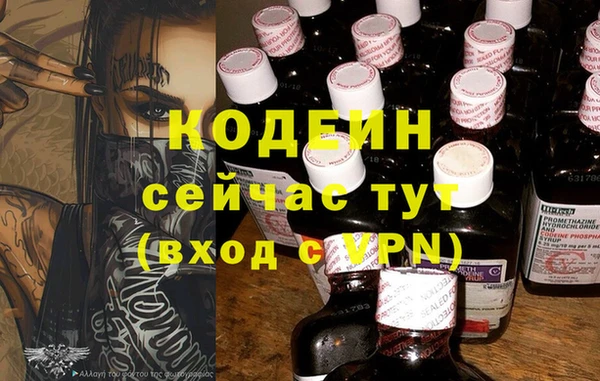 ПСИЛОЦИБИНОВЫЕ ГРИБЫ Новозыбков
